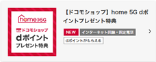 【ドコモショップ】home 5G dポイントプレゼント特典